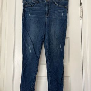 Wit and Wisdom Jeans